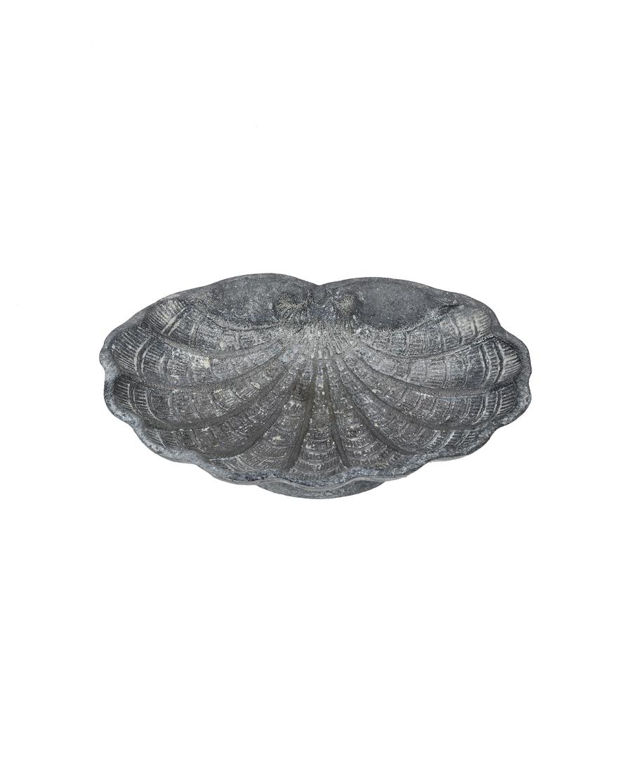 Small Shell Vide Poche