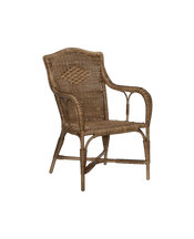 Memory Rattan Dining Armchair