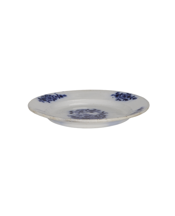 Blue & White Plates
