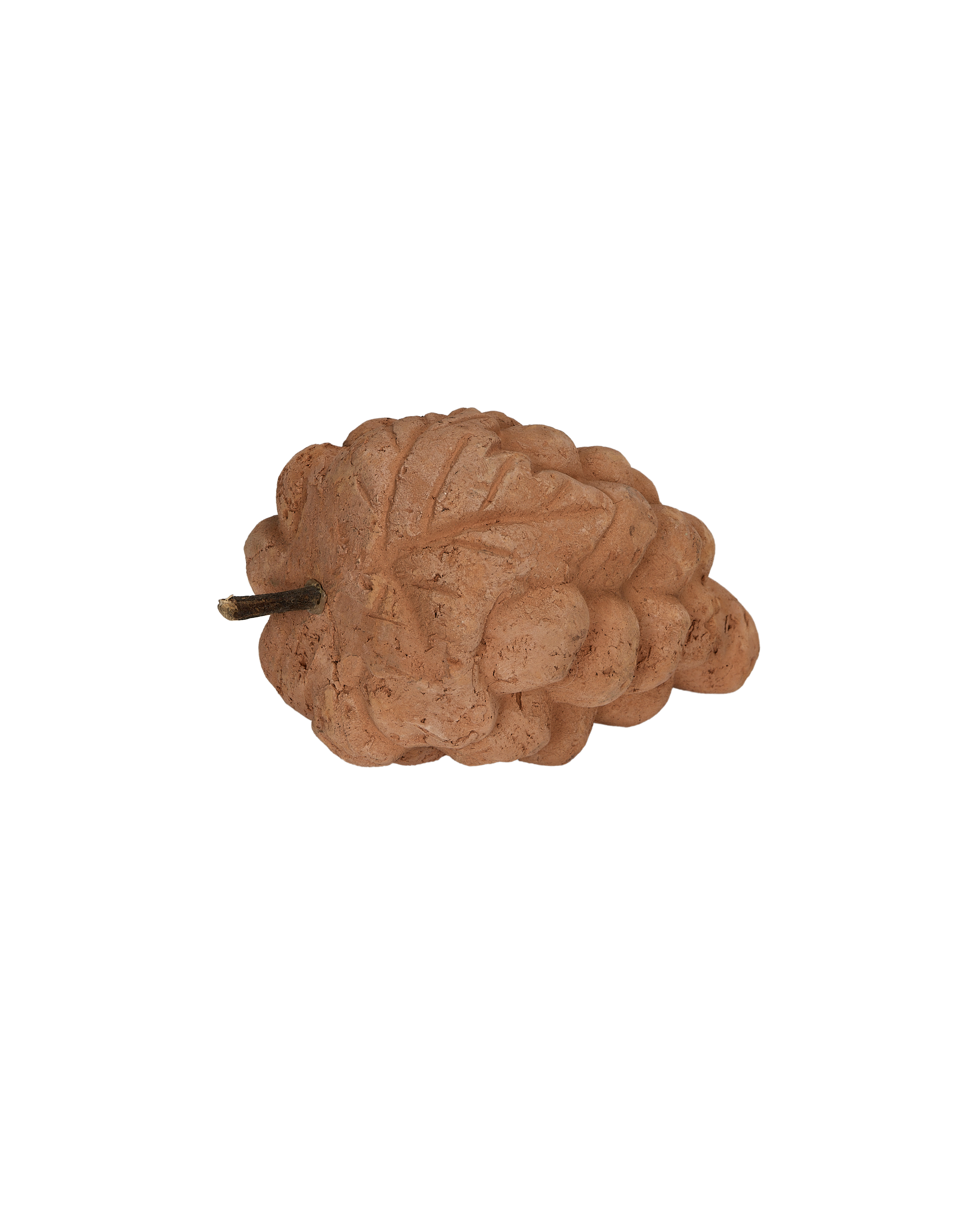 Terra Cotta Grapes - Image 2