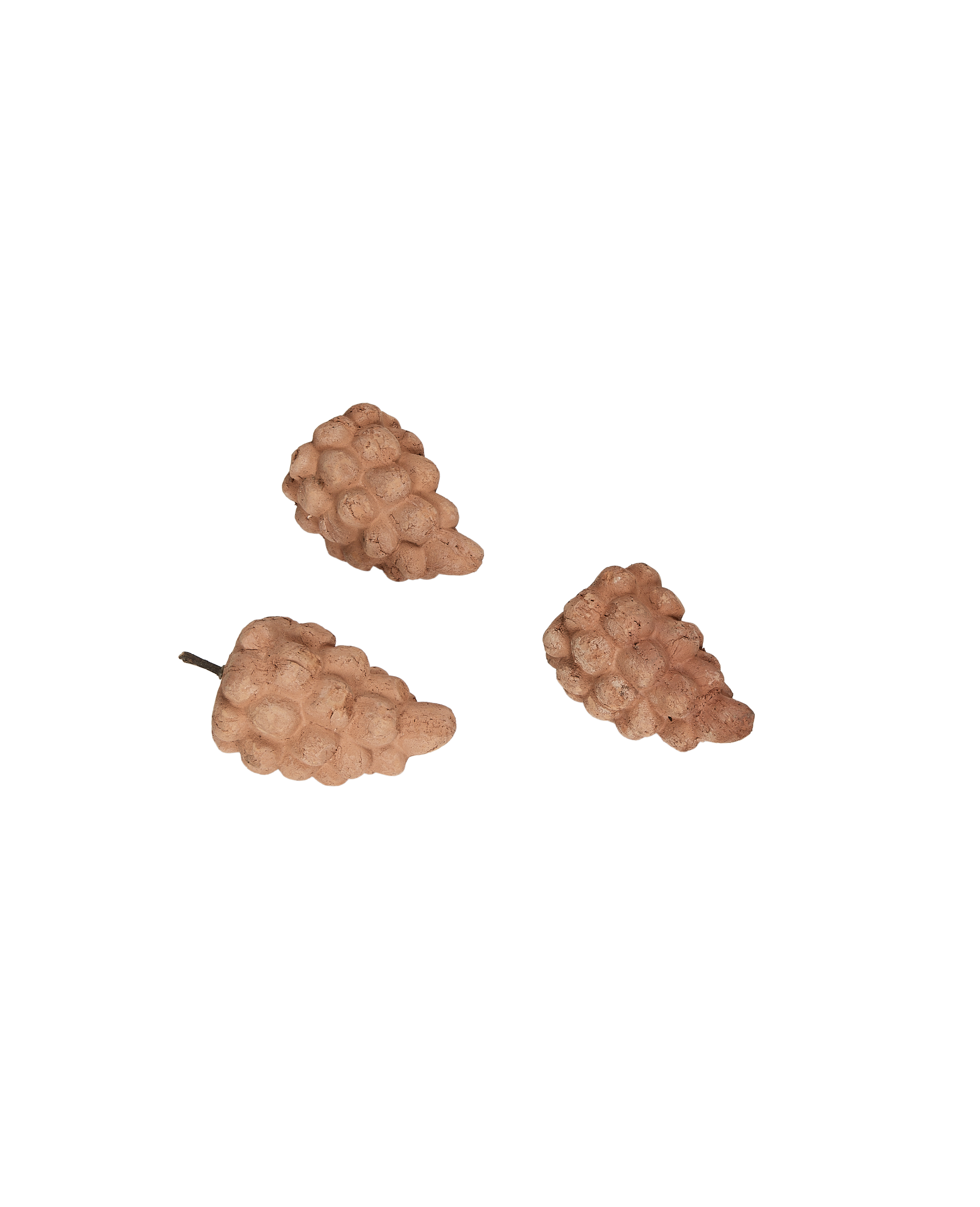Terra Cotta Grapes - Image 3