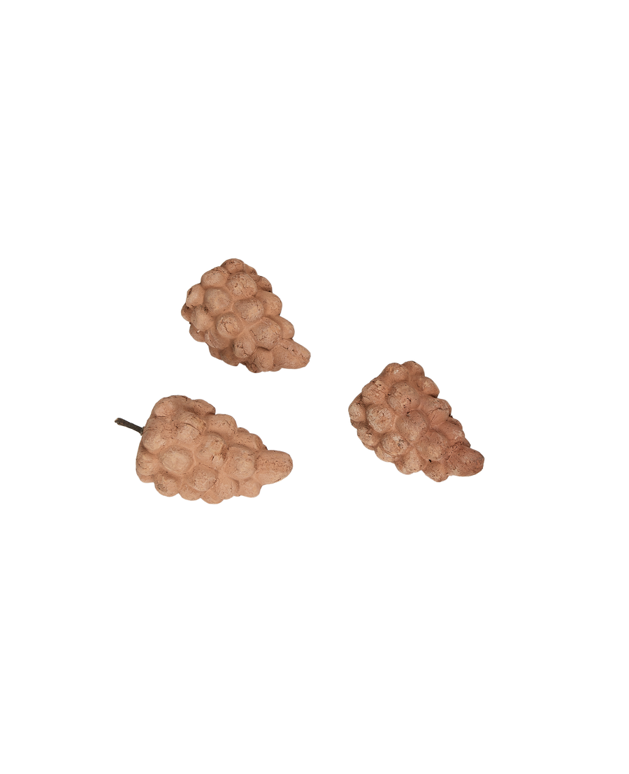 Terra Cotta Grapes - Image 3