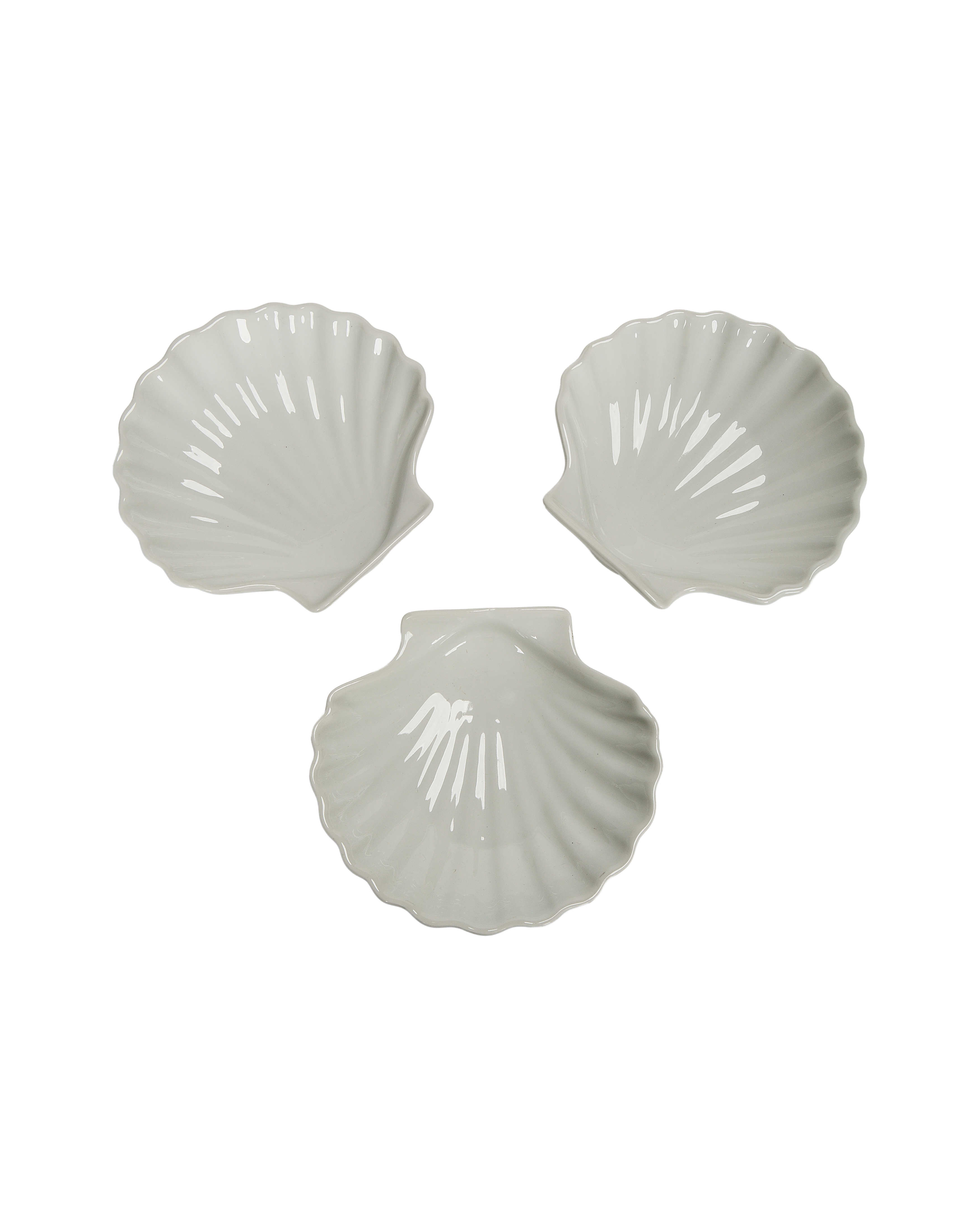 Shell Dish - Image 4