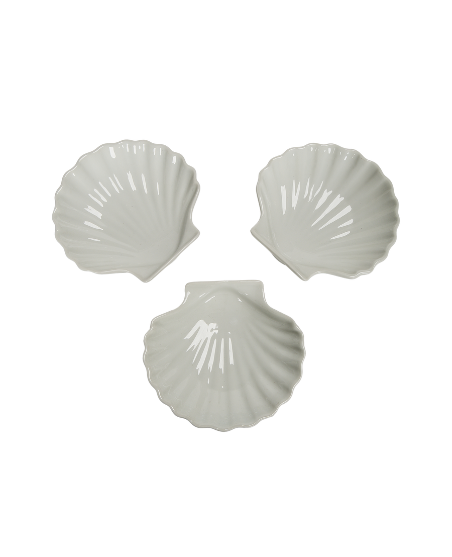 Shell Dish - Image 4