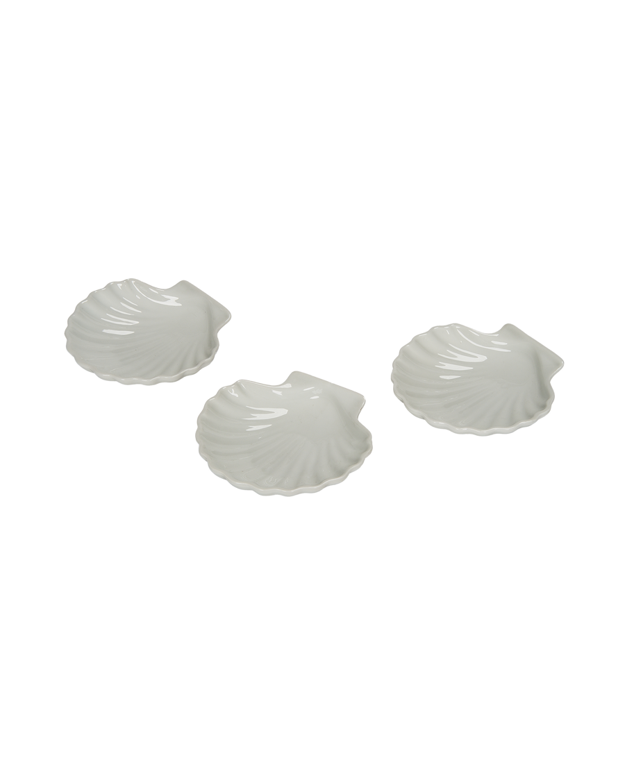 Shell Dish - Image 5