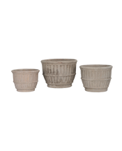 Espalier Basket Pot