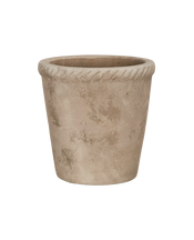 Entwine Pot