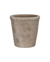 Entwine Pot