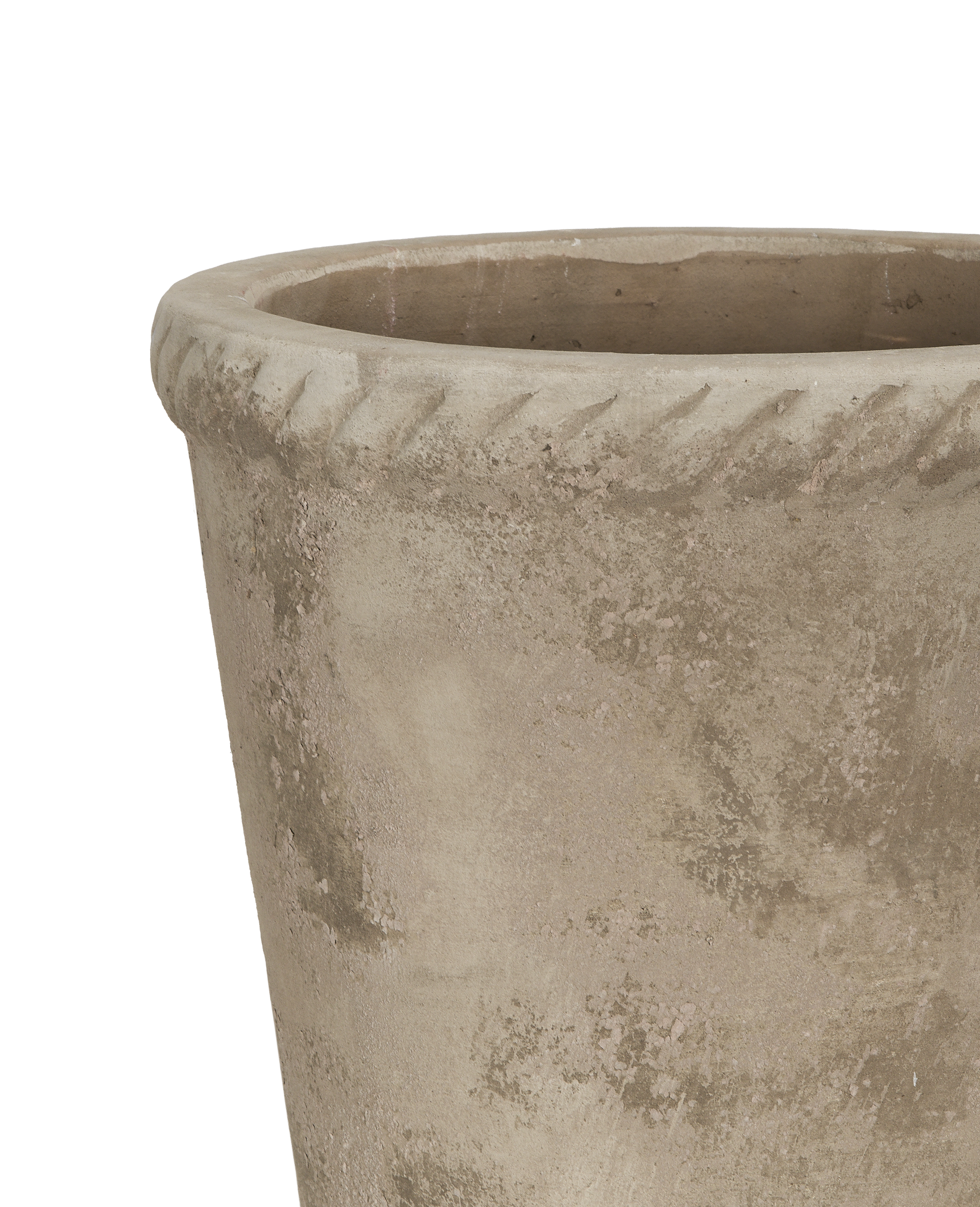 Entwine Pot