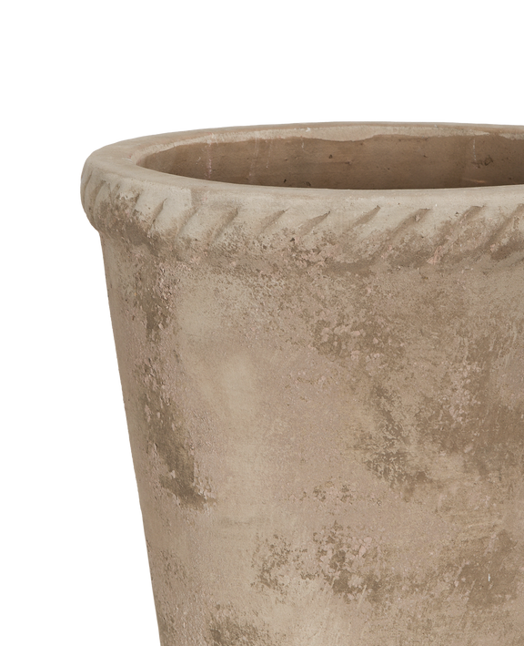 Entwine Pot