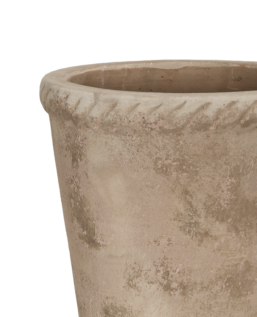Entwine Pot