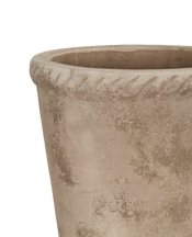 Entwine Pot