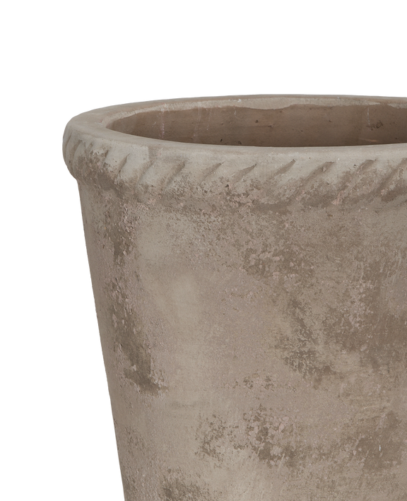 Entwine Pot