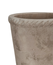 Entwine Pot