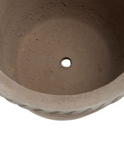 Entwine Pot