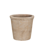 Entwine Pot