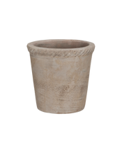 Entwine Pot