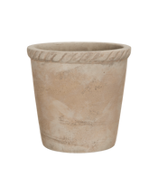 Entwine Pot