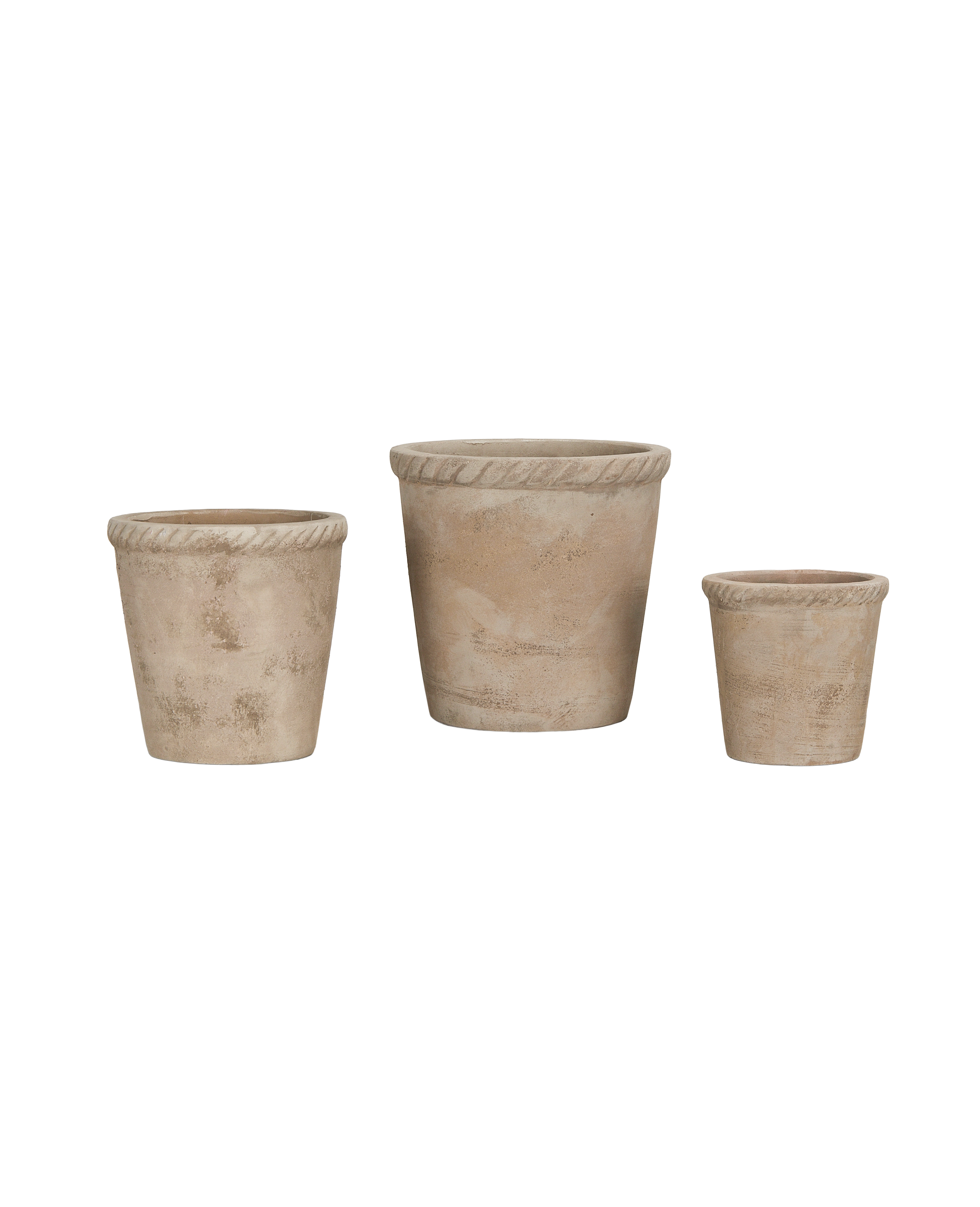 Entwine Pot