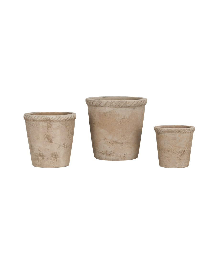 Entwine Pot
