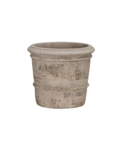 Cordelia Pot