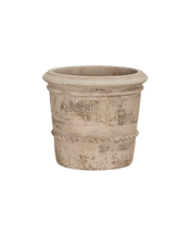 Cordelia Pot