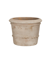 Cordelia Pot