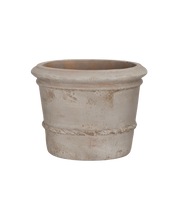 Cordelia Pot