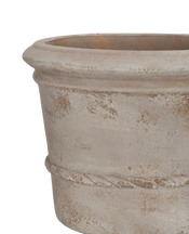 Cordelia Pot