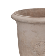 Marguerite Planter