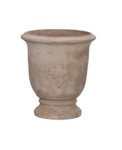 Marguerite Planter