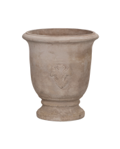 Marguerite Planter