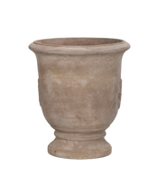 Marguerite Planter
