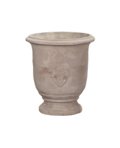 Marguerite Planter