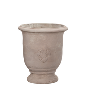 Marguerite Planter
