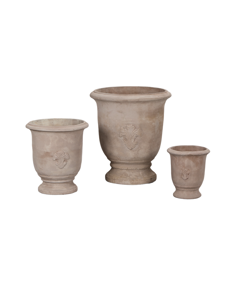 Marguerite Planter