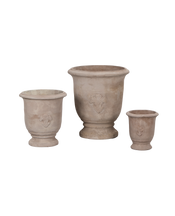 Marguerite Planter