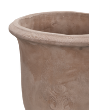 Marguerite Planter