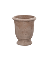 Marguerite Planter