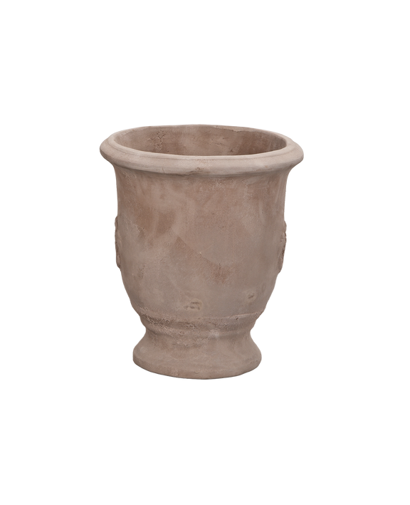 Marguerite Planter
