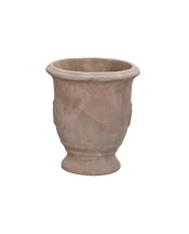 Marguerite Planter