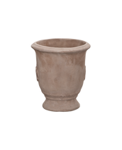 Marguerite Planter