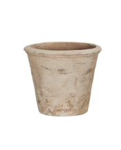 Arbor Pot