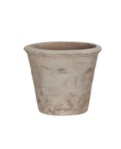 Arbor Pot