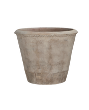 Arbor Pot