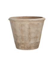 Arbor Pot