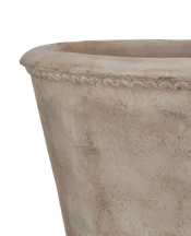 Arbor Pot