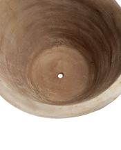 Arbor Pot