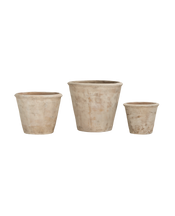 Arbor Pot