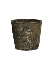 Willy Guhl Planter - Basket